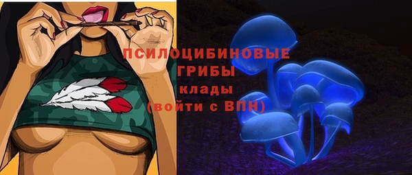 ECSTASY Алексеевка