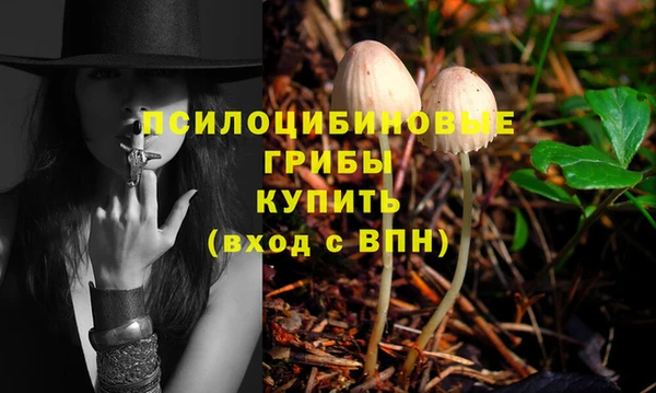 mdpv Алексин